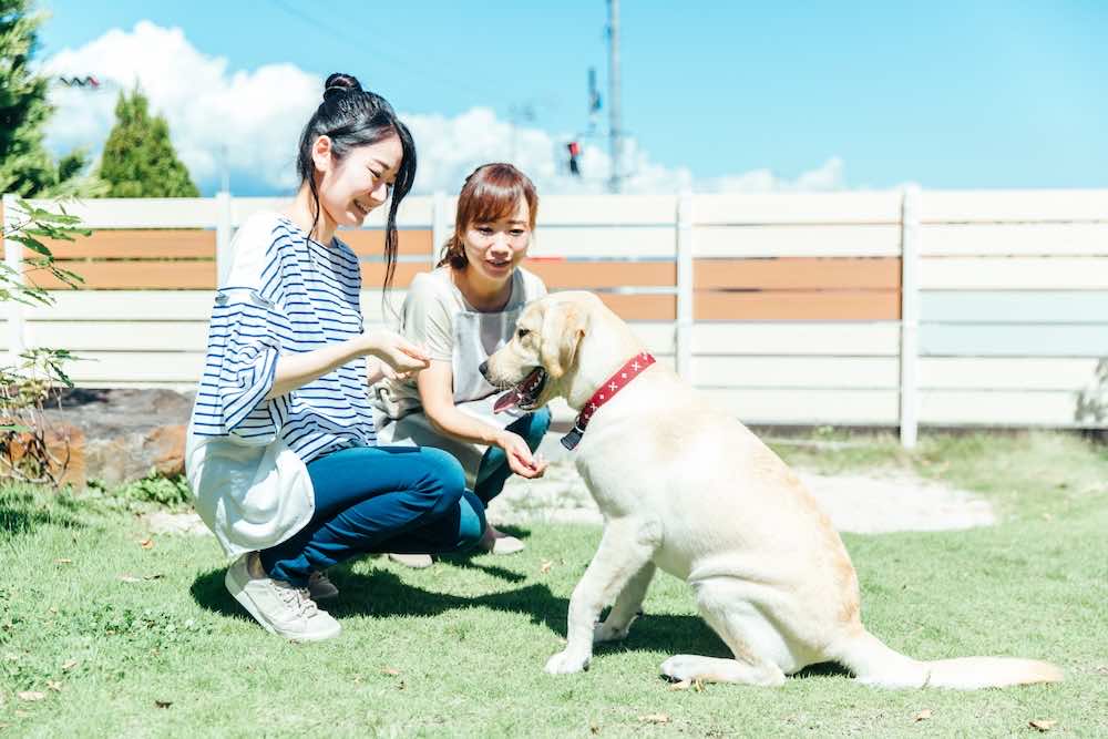 動物に関わる仕事一覧！おすすめの資格や給料、文系でもなれる職業も解説