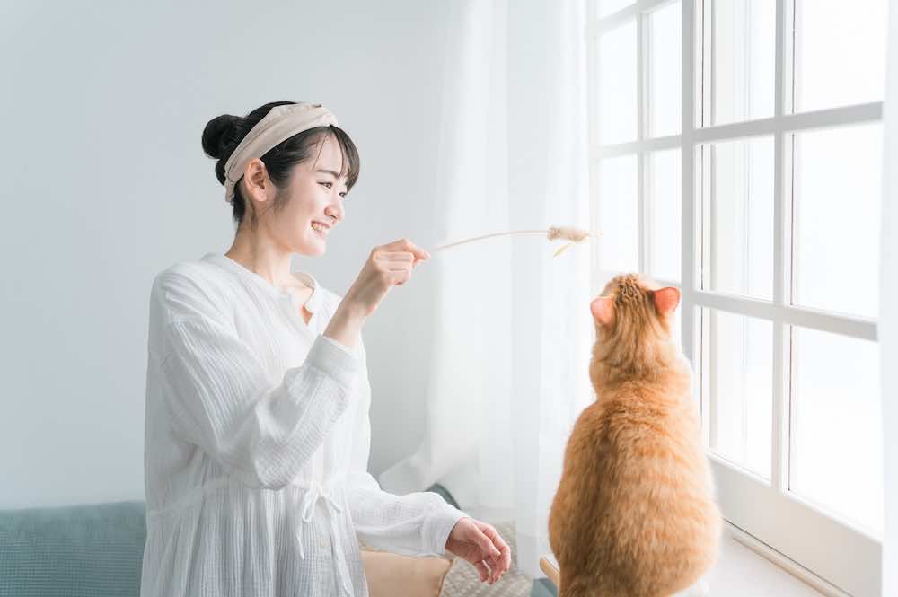 人懐っこい猫の種類とは？特徴や育て方・懐いているか見分ける方法も解説！