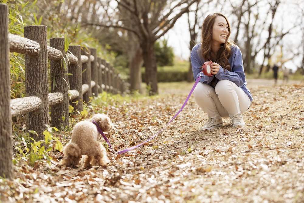 子犬のしつけ方法とは？順番や何ヶ月から始めればいいかを解説