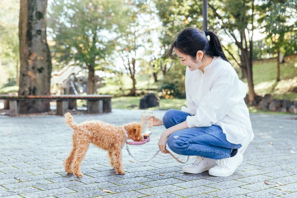 ペットシッターの需要や市場規模は？利用率や将来性について詳しく解説