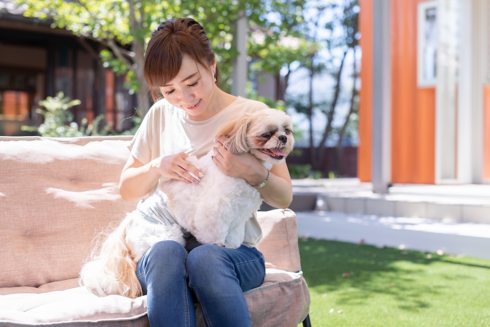 ペットシッターの仕事内容とは？やりがいや大変さ、一日の流れを解説！